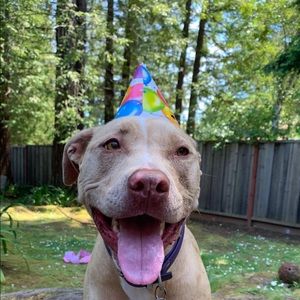 Meet your Posher, Cecelia